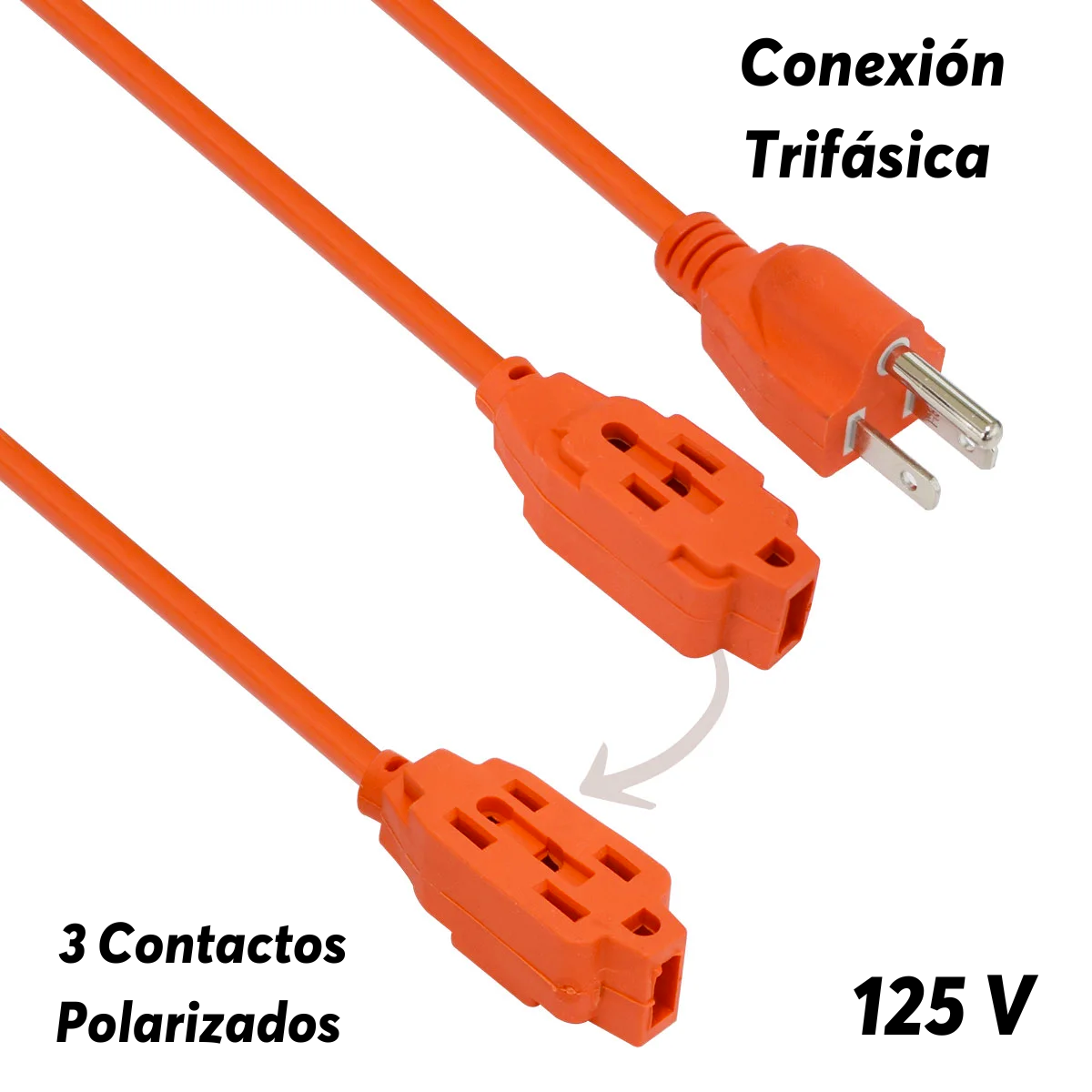Extensión Electrica  MULTI-19 5 MTS